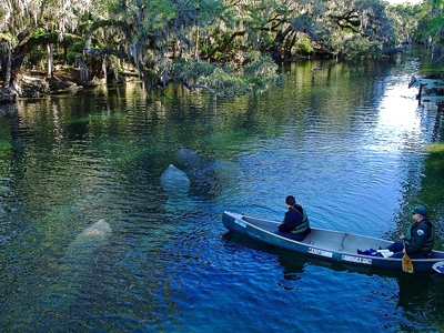 blue-springs-state-park_new-400x300